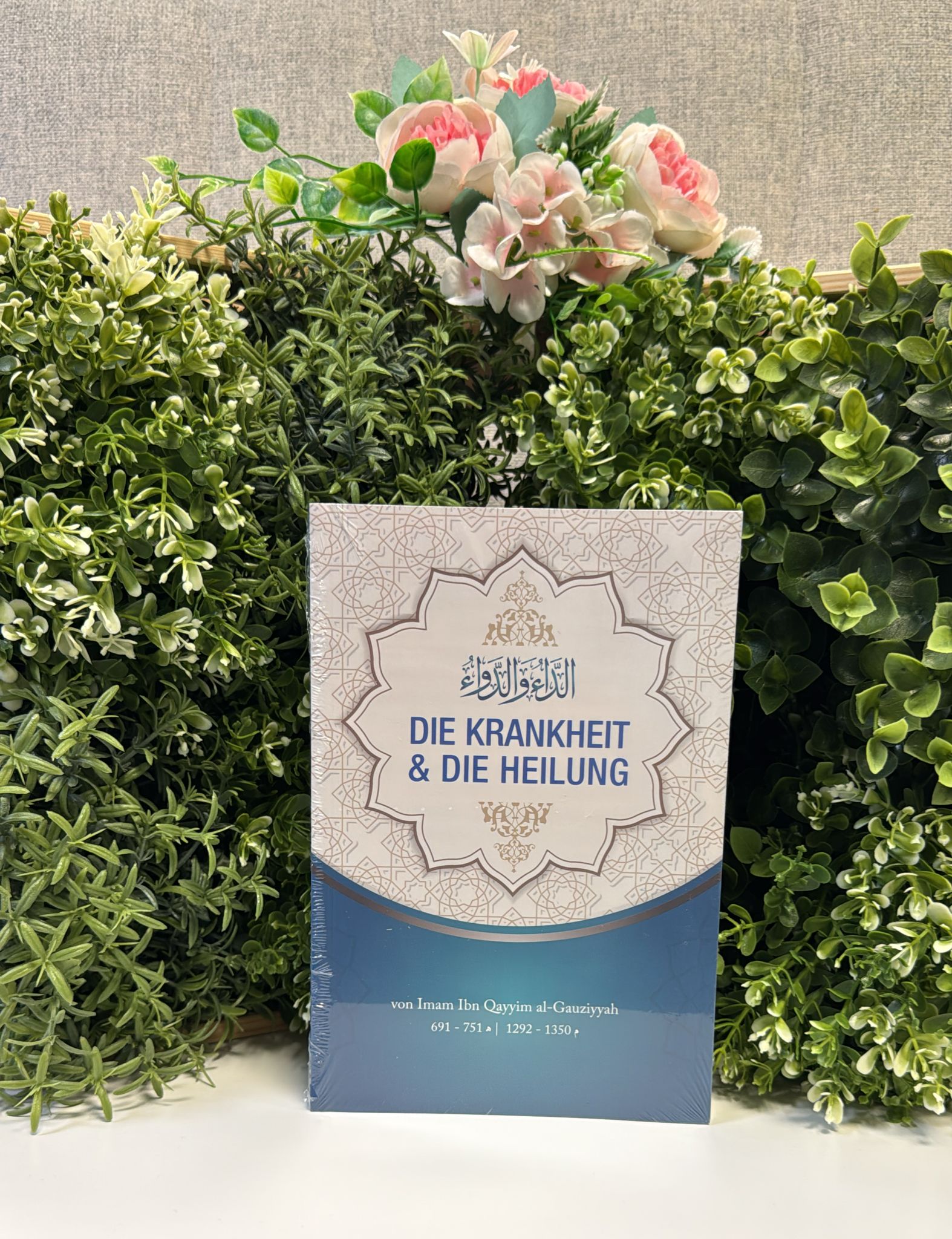 Die Krankheit und die Heilung