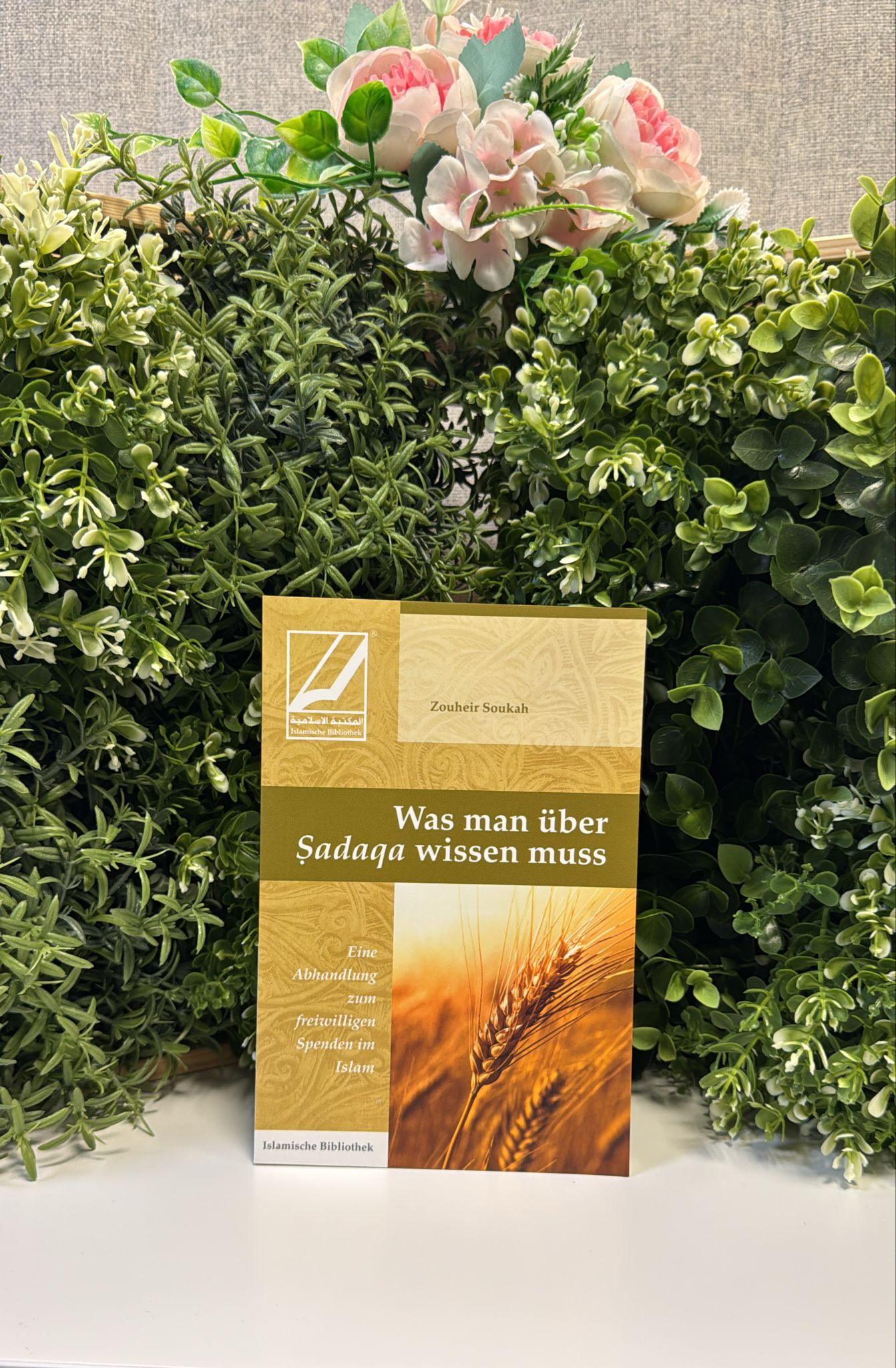 Was man über Sadaqa wissen muss